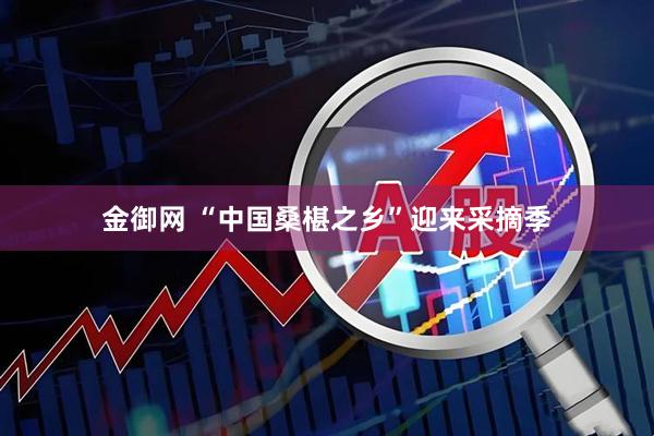 金御网 “中国桑椹之乡”迎来采摘季