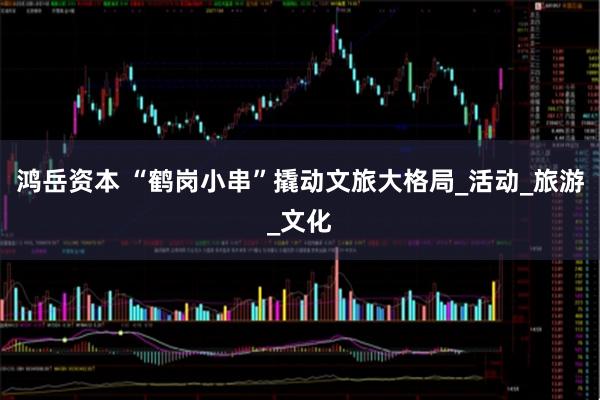 鸿岳资本 “鹤岗小串”撬动文旅大格局_活动_旅游_文化