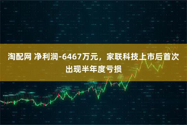淘配网 净利润-6467万元，家联科技上市后首次出现半年度亏损