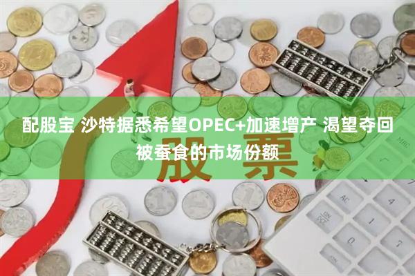 配股宝 沙特据悉希望OPEC+加速增产 渴望夺回被蚕食的市场份额