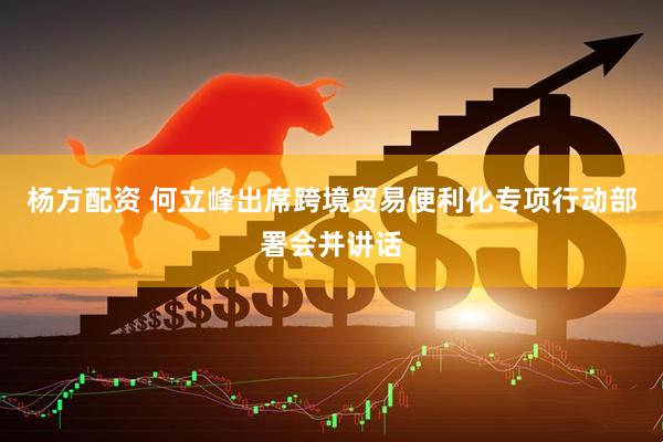 杨方配资 何立峰出席跨境贸易便利化专项行动部署会并讲话