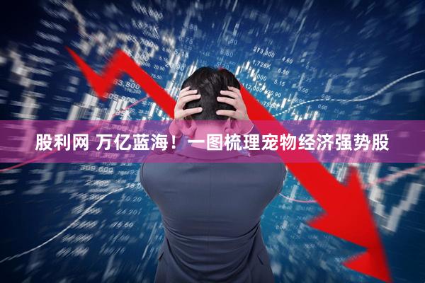 股利网 万亿蓝海！一图梳理宠物经济强势股