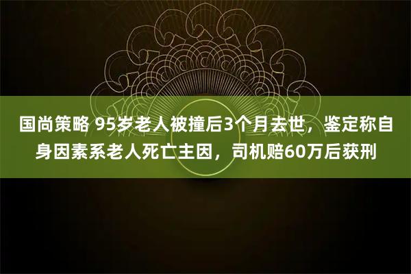国尚策略 95岁老人被撞后3个月去世,鉴定称自身因素系老人死亡主因,司机赔60万后获刑