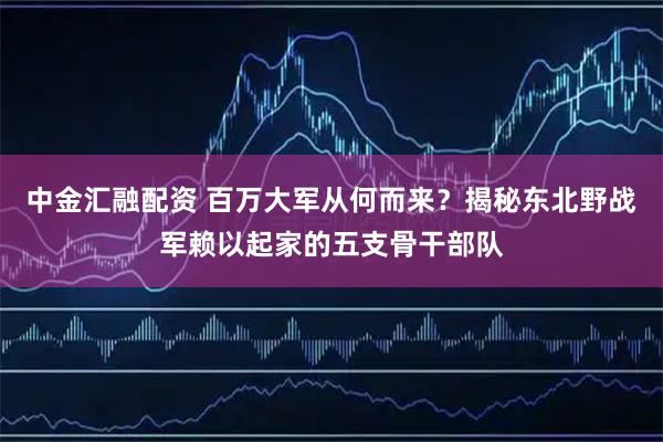 中金汇融配资 百万大军从何而来?揭秘东北野战军赖以起家的五支骨干部队