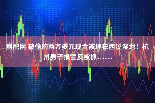利配网 被偷的两万多元现金被埋在西溪湿地!杭州男子报警反被抓……