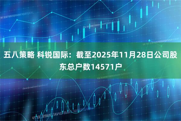 五八策略 科锐国际：截至2025年11月28日公司股东总户数14571户